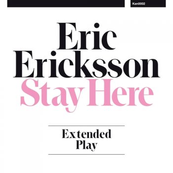 Eric Ericksson The Dark Night