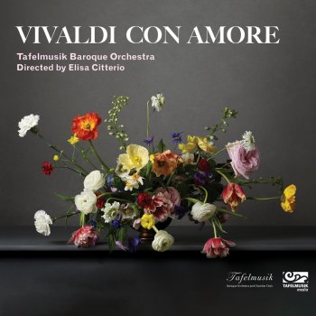 Tafelmusik Baroque Orchestra Concerto for 4 Violins in B-Flat Major, RV 553: I. Allegro
