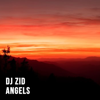 DJ ZID Angels