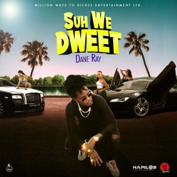 Dane Ray Suh We Dweet (Radio Edit)