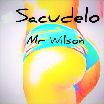Mr. Wilson Sacudelo