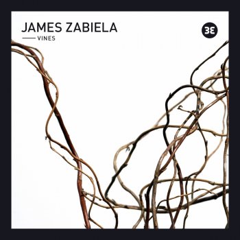 James Zabiela Vines (Earlham Mystics Remix)