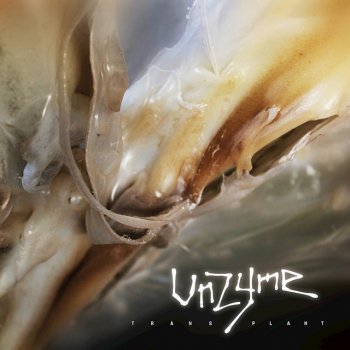 Unzyme Misconstructed