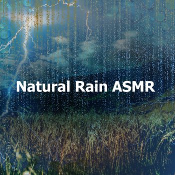 ASMR Nature Rain Sleep Lightning Blizzard