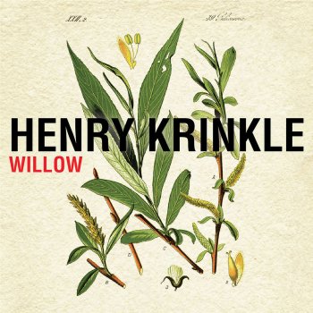 Henry Krinkle Willow
