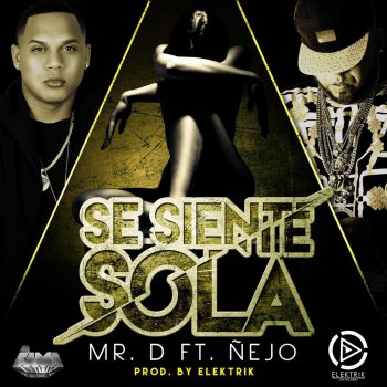 Mr. D feat. Ñejo Se Siente Sola (feat. Nejo)