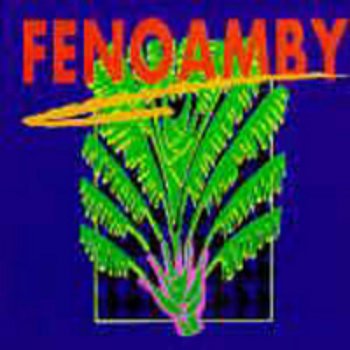 Fenoamby Mariage