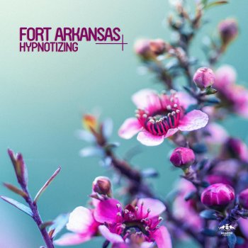 Fort Arkansas Hypnotizing - Radio Mix