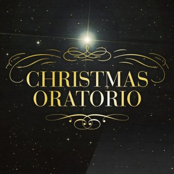Anthony Rolfe Johnson Christmas Oratorio, BWV 248 : No.20 Evangelist: "Und alsbald war da bei dem Engel"