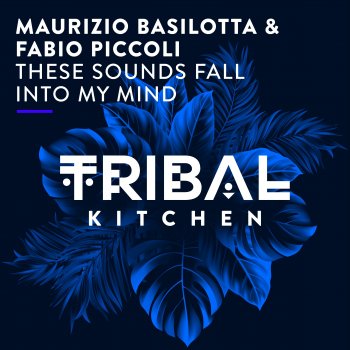 Maurizio Basilotta These Sounds Fall into My Mind (Radio Edit)