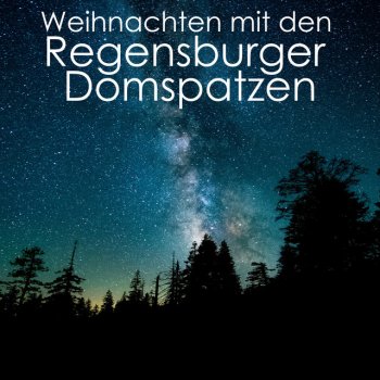 Franz Xaver Gruber feat. Regensburger Domspatzen Stille Nacht, heilige Nacht