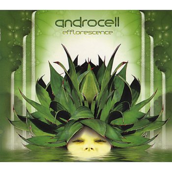 Androcell Efflorescence