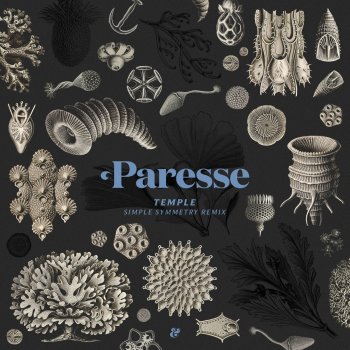 Paresse Temple (Simple Symmetry Remix)