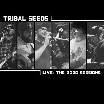 Tribal Seeds feat. Louie Castle Sekkle and Cool - Live
