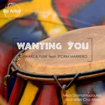 Schwarz & Funk feat. Storm Marrero Wanting You (Radio Edit)