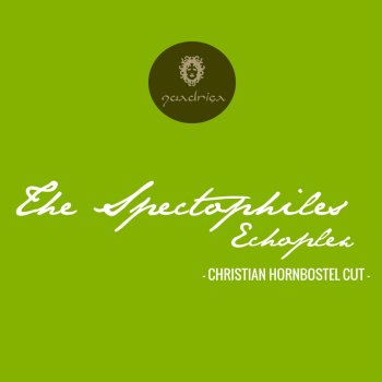 The Spectaphiles Echoplex (Christian Hornbostel Cut)