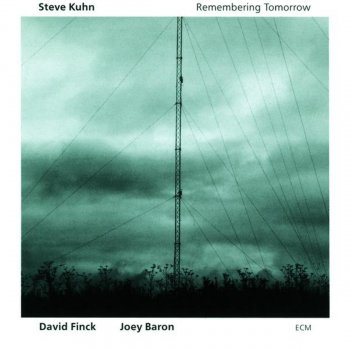 Steve Kuhn The Rain Forrest