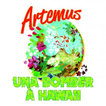 Artemus Una Bomber à Hawaii