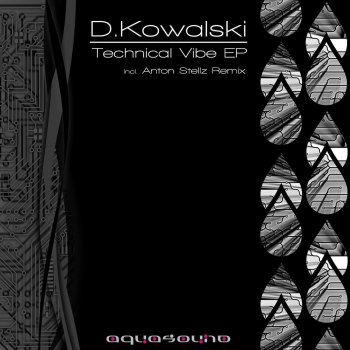 D.Kowalski Technical Vibe (Anton Stellz Remix)