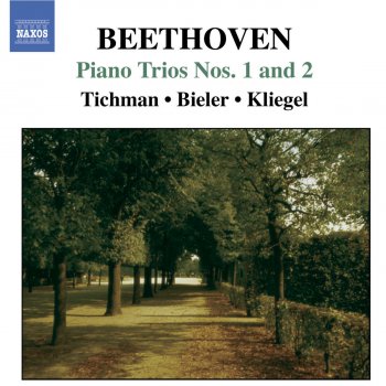 Ludwig van Beethoven feat. Xyrion Trio Piano Trio No. 2 in G Major, Op. 1 No. 2: II. Largo con espressione