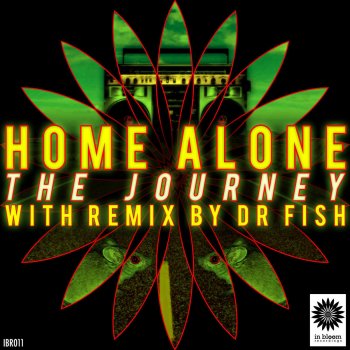 Home Alone feat. Dr Fish The Journey - Dr. Fish Remix