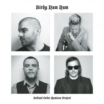 Birdy Nam Nam feat. Teki Latex The Plan (Jackson and his Computer Band Remix)