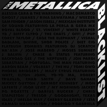 Metallica My Friend of Misery