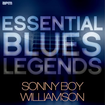 Sonny Boy Williamson Bring It on Home