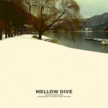 Mellow dive walking closer in a white winter morning