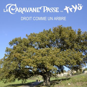 La Caravane Passe feat. Tryo Droit comme un arbre (feat. Tryo)