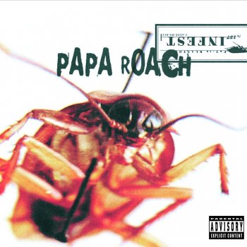 Papa Roach Never Enough