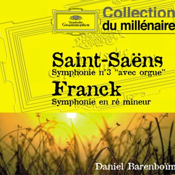 Alain Denis feat. Orchestre de Paris & Daniel Barenboim Symphony in D Minor: II. Allegretto