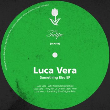 Luca Vera Why Not Us - Original Mix
