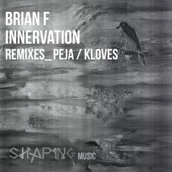 Brian F Innervation Two (Peja Remix)