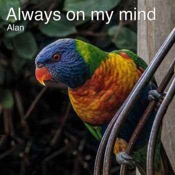 Alan Always on My Mind