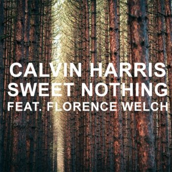 Calvin Harris feat. Florence Welch Sweet Nothing (Qulinez remix)