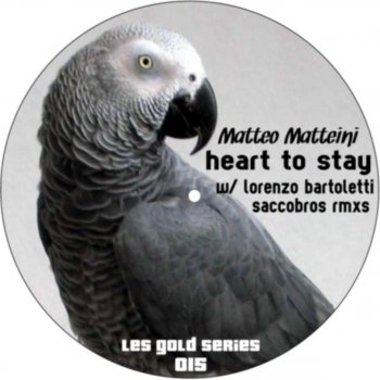 Matteo Matteini Heart To Stay (Lorenzo Bartoletti Remix)