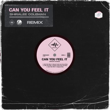 Shiralee Coleman Can You Feel It (Daniel Tonik 5am Vocal Mix)