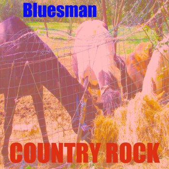 Bluesman Country Rock Mix