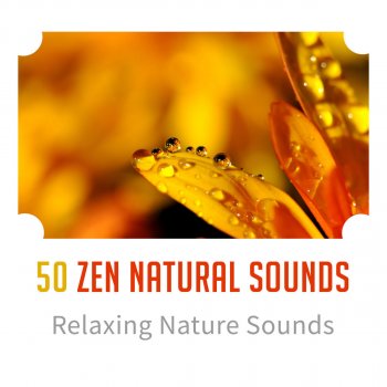 Hypnosis Nature Sounds Universe Sleeping Healing Space