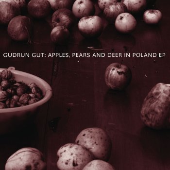 Gudrun Gut Apples and Pears Dub (Instrumental Dub)
