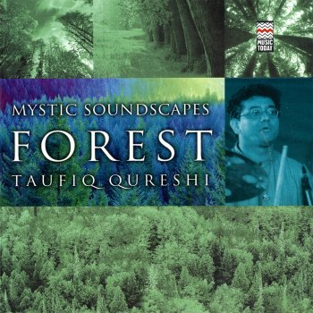 Taufiq Qureshi Morning In Forest
