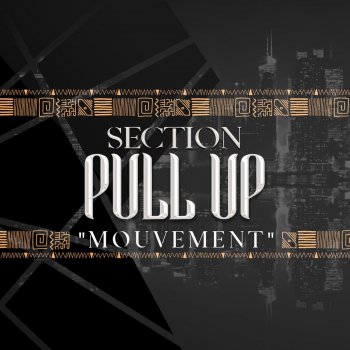 Section Pull Up Mouvement