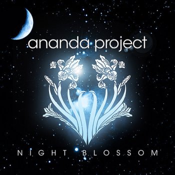 The Ananda Project Cascades of Colour (Wamdue Black Mix)