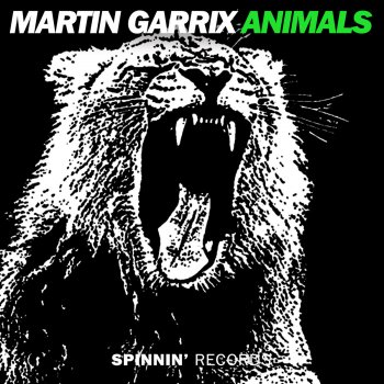 Martin Garrix Animals (Botnek Edit)