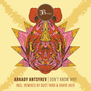 Arkady Antsyrev feat. David Jach Don't Know Why - David Jach Remix