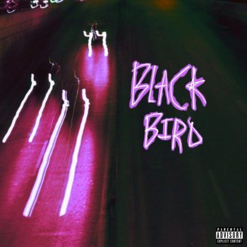 samarchy Blackbird (Slowed Edition)