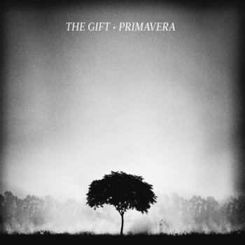 The Gift Open Window