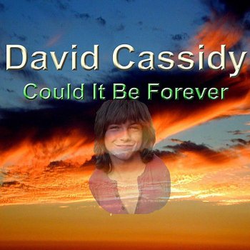 David Cassidy Tenderly