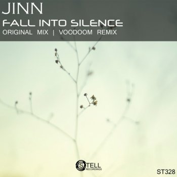 Jinn Fall Into Silence - Original Mix
